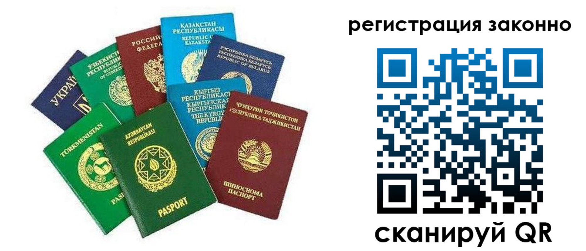 прописка 2025 в Борзе